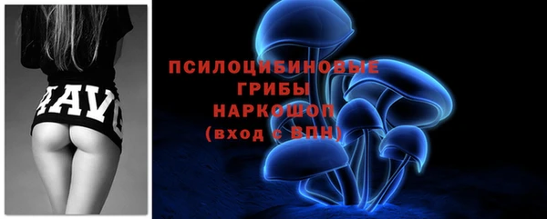 ALPHA-PVP Елизово