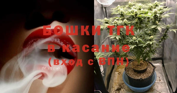 бошки Елабуга