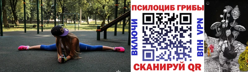 Галлюциногенные грибы MAGIC MUSHROOMS  Купить  Сретенск 